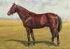 Richard Stone Reeves,  oil on canvas of a horse identified as  "Exceptional,"